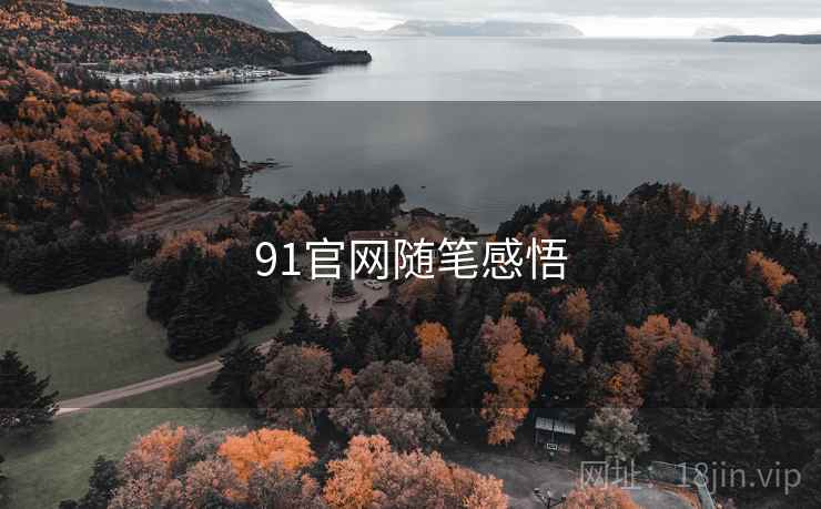 91官网随笔感悟
